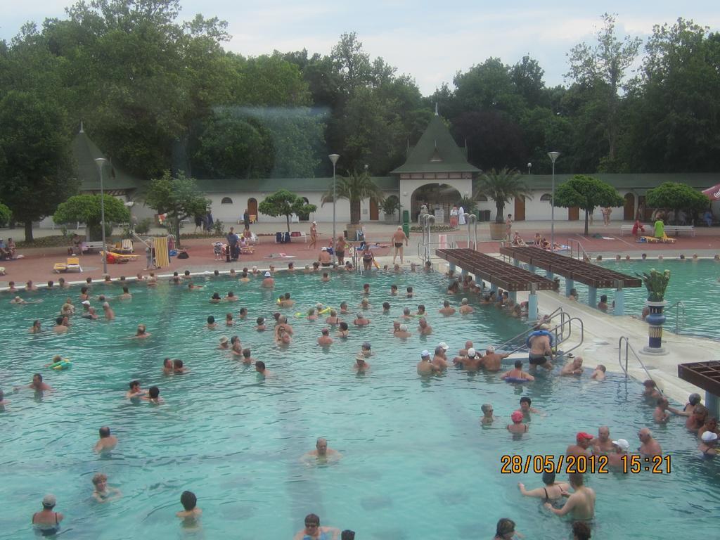 Gyoengyvirag Ueduelo - Mario Apartman Harkany Ruang foto
