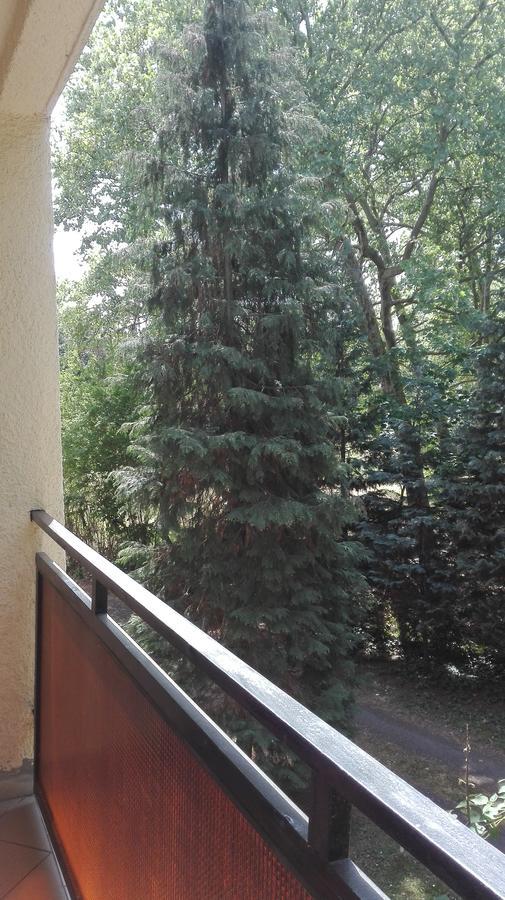 Gyoengyvirag Ueduelo - Mario Apartman Harkany Bagian luar foto